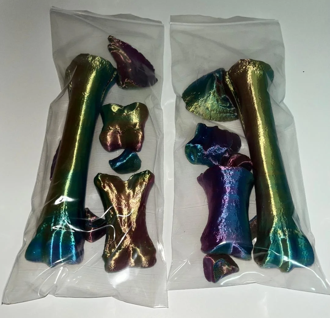 Knochensalat Einhorn-Edition, Hufmodell in Farbe